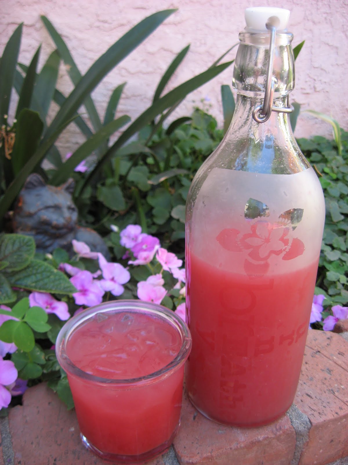 Recipes to Nourish WatermelonCucumber Juice