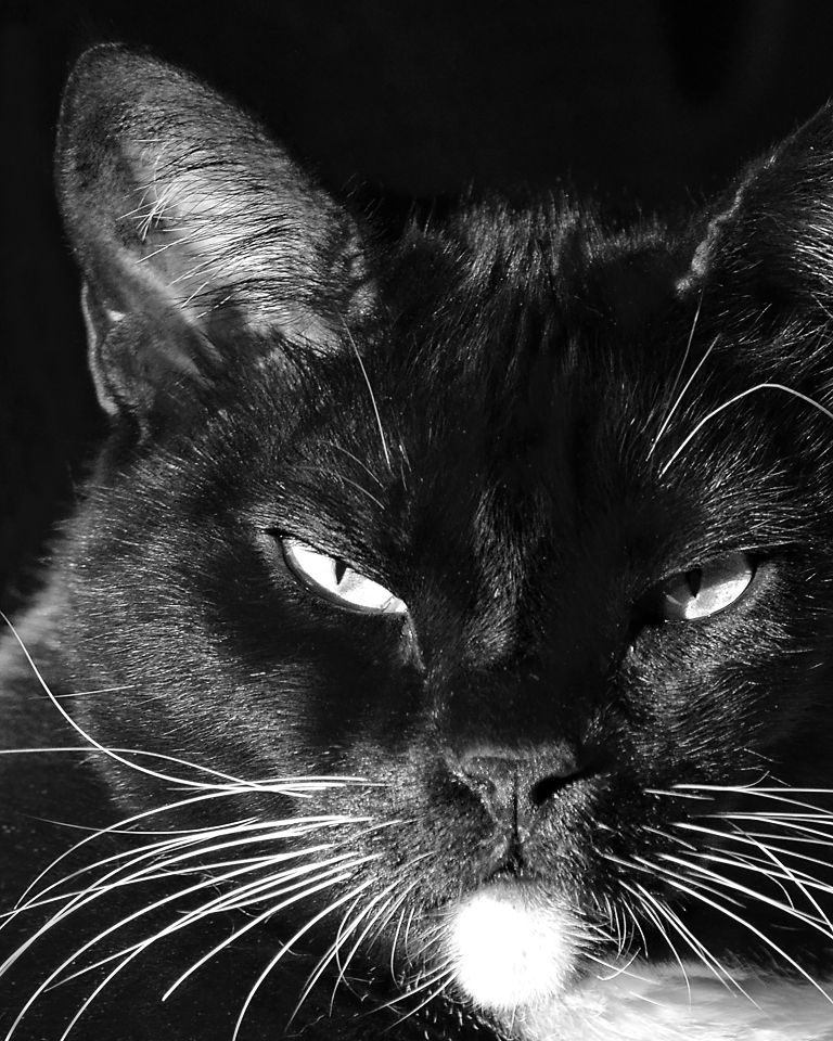 I just finished up the 7 black and white photos of my life 7 days 7 pictures total no people no explanations facebook challenge I just finished up the 7 black and white photos of my life 7 days 7 pictures total no people no explanations facebook challenge