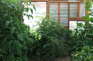 Small Green House, Living from Glory to glory blog...