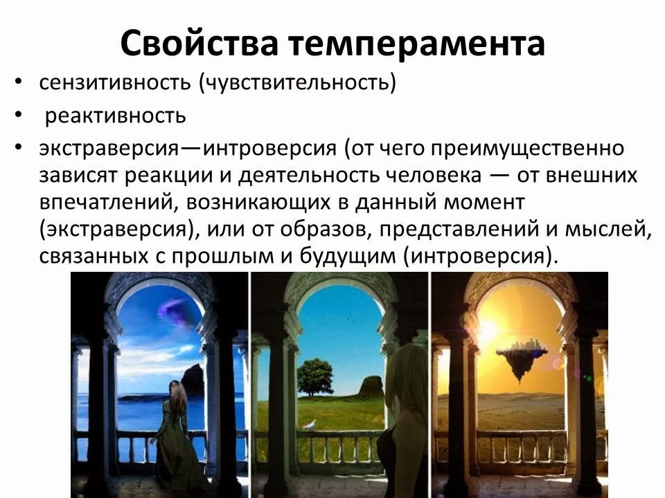 Изменение темперамента. Меняется ли темперамент в течении. Меняется ли темперамент в течении. Темперамент характер способности. Онлайн характер.