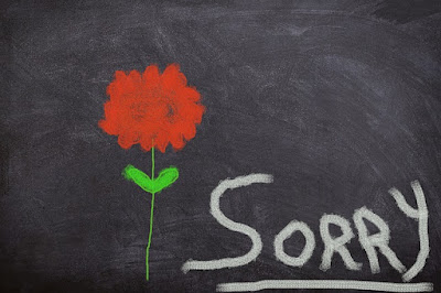 i am sorry quotes i am sorry quotes,cute sorry images