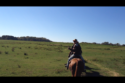 Alive and Livin': Southern Cross Horse Ranch