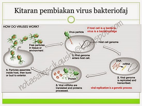 Nota Sains Tingkatan 5 Bab 1  Nota Cikgu Shu