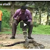 king cobra live attack in Kerala