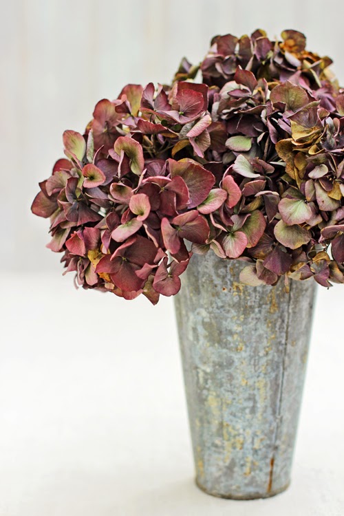 ...OF SPRING AND SUMMER... A Bunch for the Weekend 29 Dried Hydrangeas