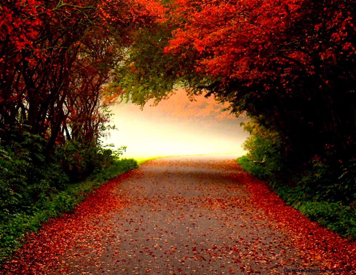 Autumn Desktop Wallpaper wallpaper Autumn Desktop Wallpaper hd