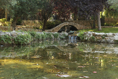 Jardines de Brihuega lavanda