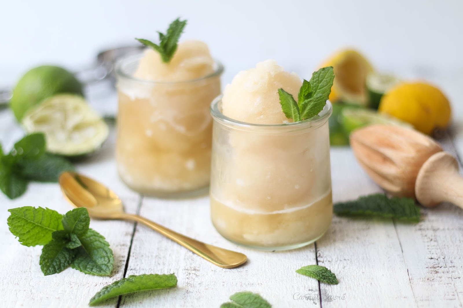 Sorbet Mojito Avec Sorbetiere Carnet Sucre