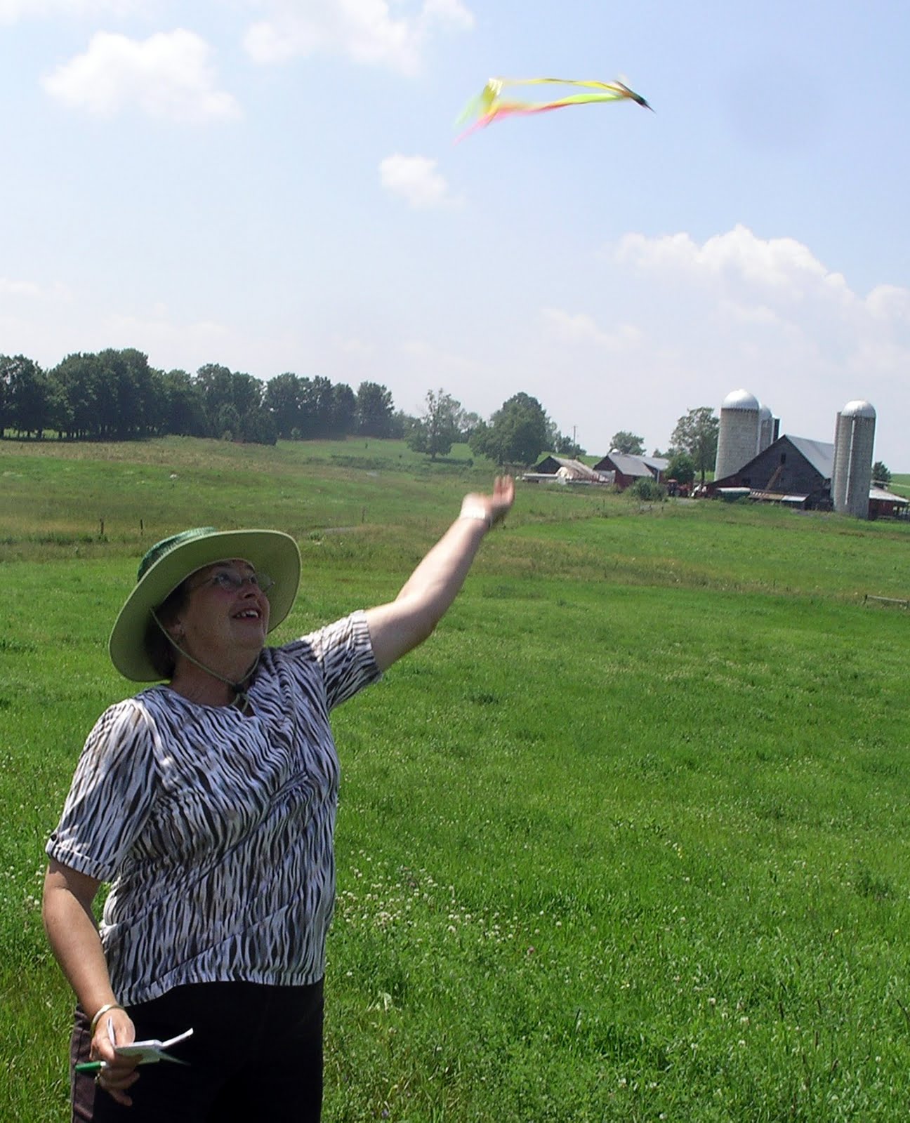 VT Pasture Network Darts R Us