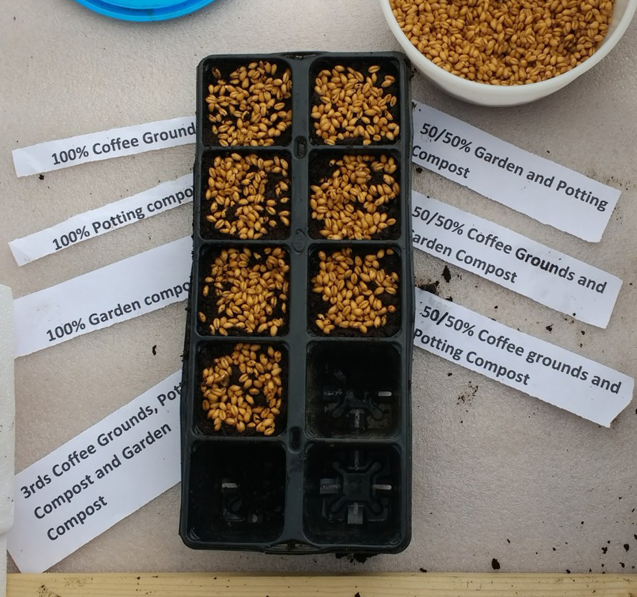 Gardening Matters Coffee Grounds. Do They Benefit The Soil ? An