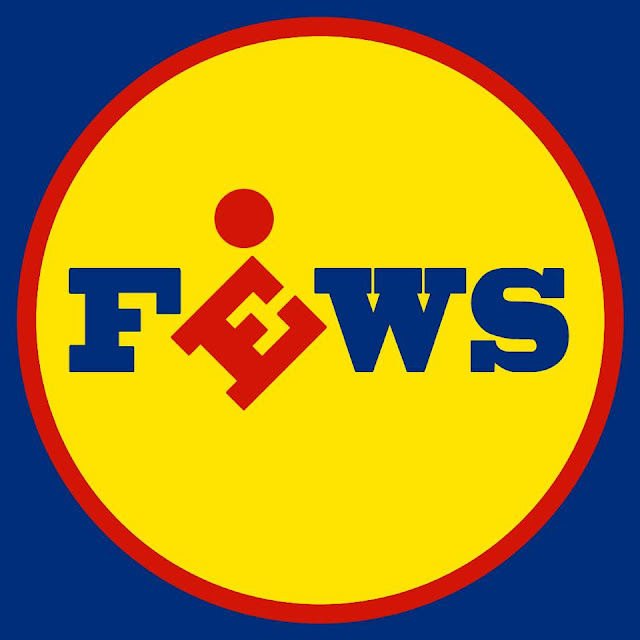 FEWS : un groupe post post-punk