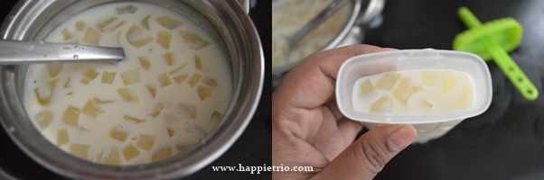 Step 4 - Milk Popsicle Recipe | Ice Apple Popsicle | Palm Fruit Milk Popsicle