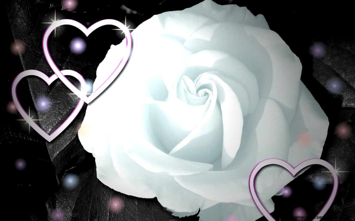 Wallpapers Rose Bunch The Most Beautiful Flower Of World Cut