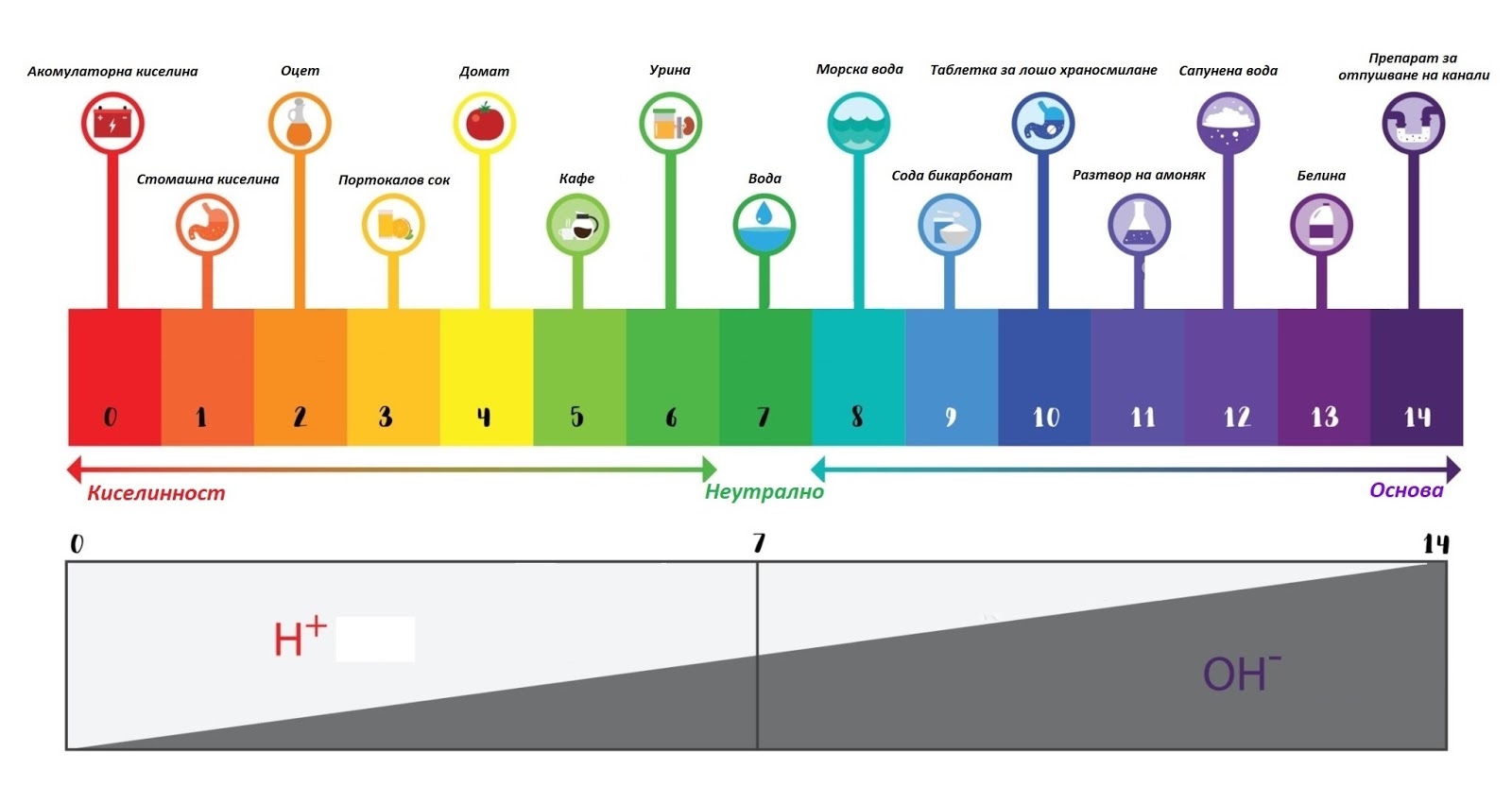 Alkalno Kiselinen Balans