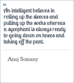 Sycophancy Quotes By Anuj Somany
