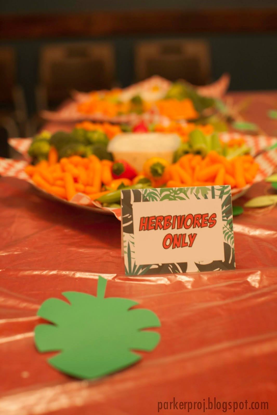 the-parker-project-wild-kratts-birthday-party-at-nickel-city-san-diego