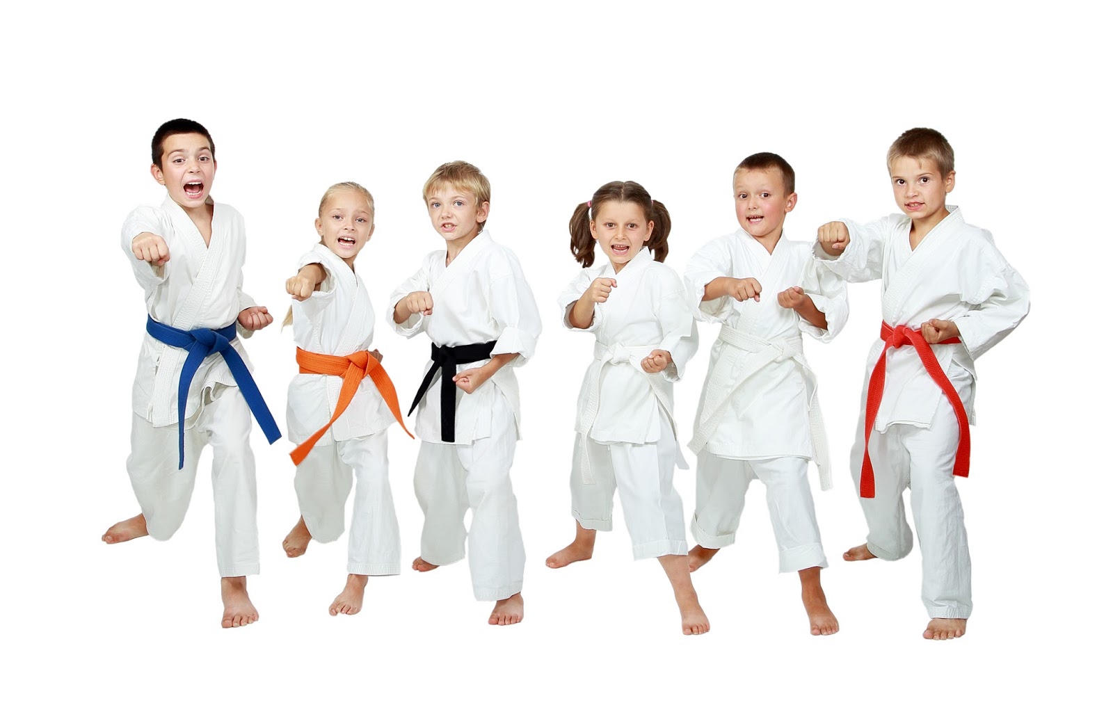 teaching karate moves teaching karate moves