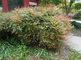 58 Volume 11 Number 4 Ip Australia