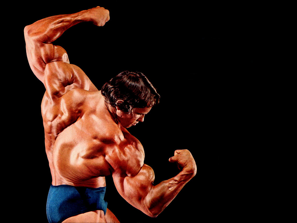 Body building Guide lines: Arnold Schwarzeneggar Body Structure