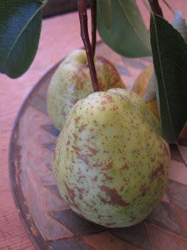 Pears Mean Autumn