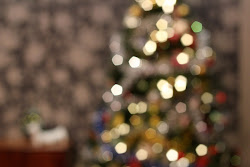 50mm why lens fixed bokeh want read