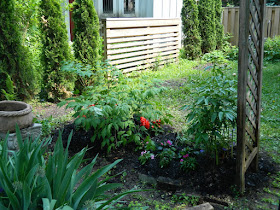Paul Jung Gardening Services Toronto Mount Pleasant West garden clean up after
