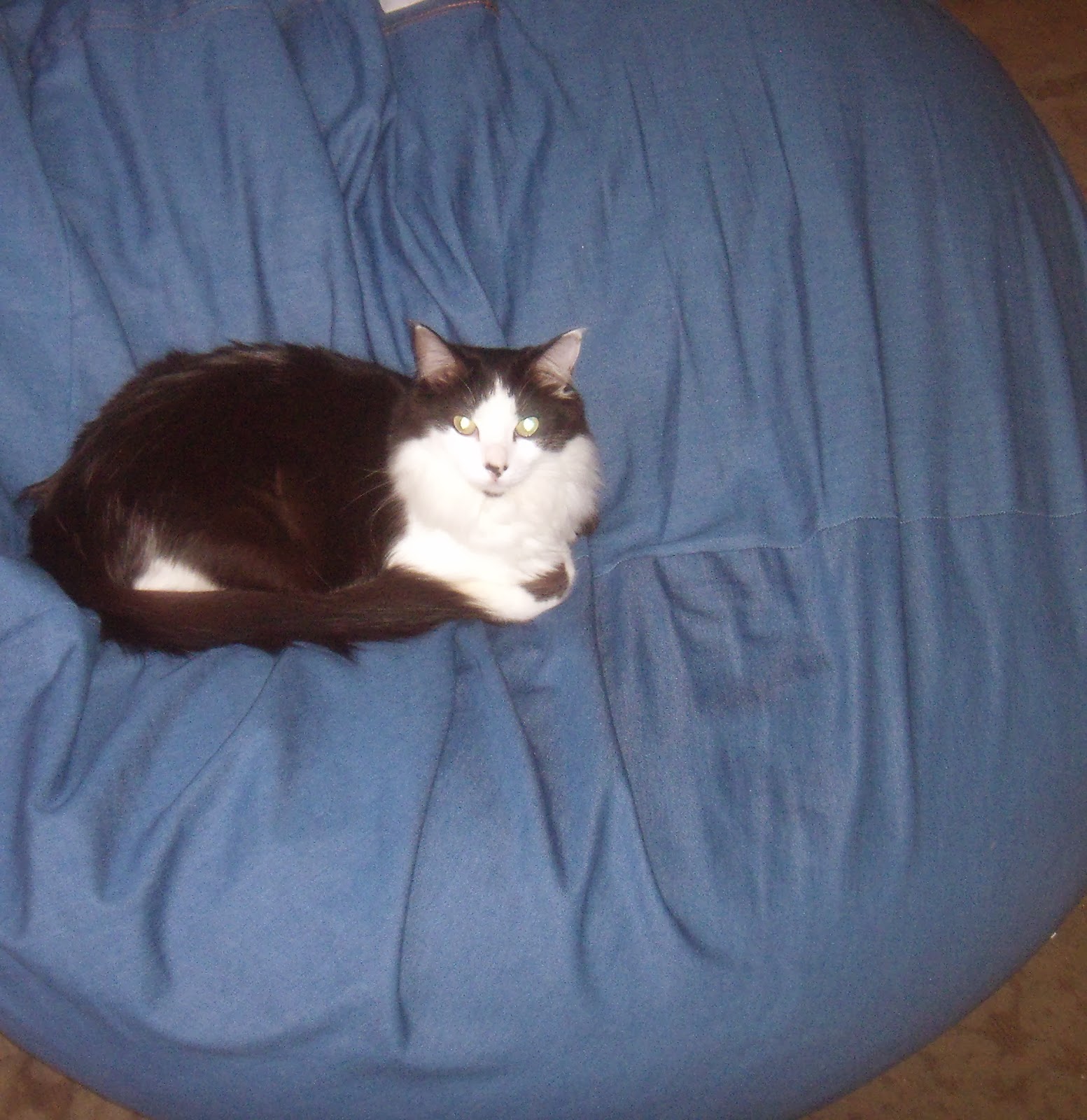 Mommie of 2 The Bean Bag Chair Outlet Review