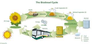 energía de origen vegetal [ mas conocida  como biomasa