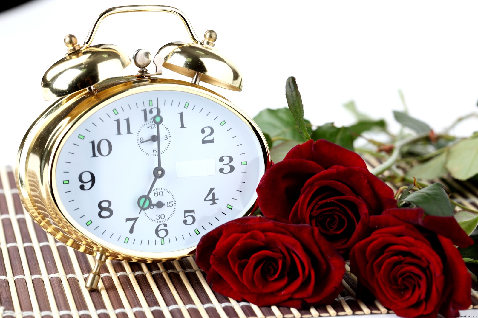 Good Morning Beautiful Roses