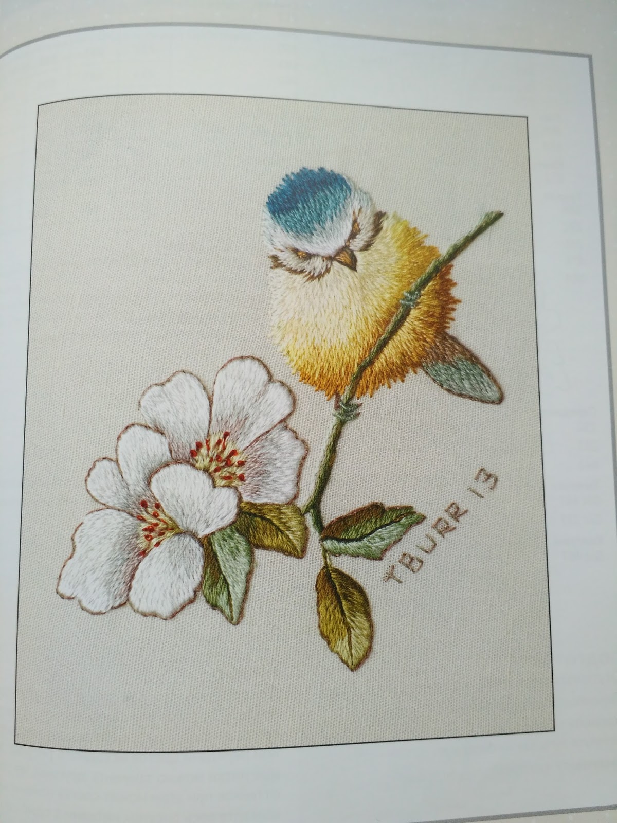 триш бурр ботаническая вышивка. бурр вышивка гладью. триш бурр ботаническая вышивка. птицы триш бурр вышивка. триш бурр.