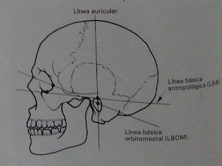 PRODUCCIÓN Y TRATAMIENTO DE IMAGENES DIAGNOSTICAS: junio 2016
