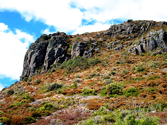 thoughts & happenings: Stanley, Tasmania Australia