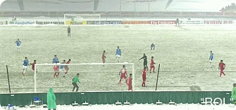 박항서 감독님 일어나실 시간입니다.gif | 인스티즈