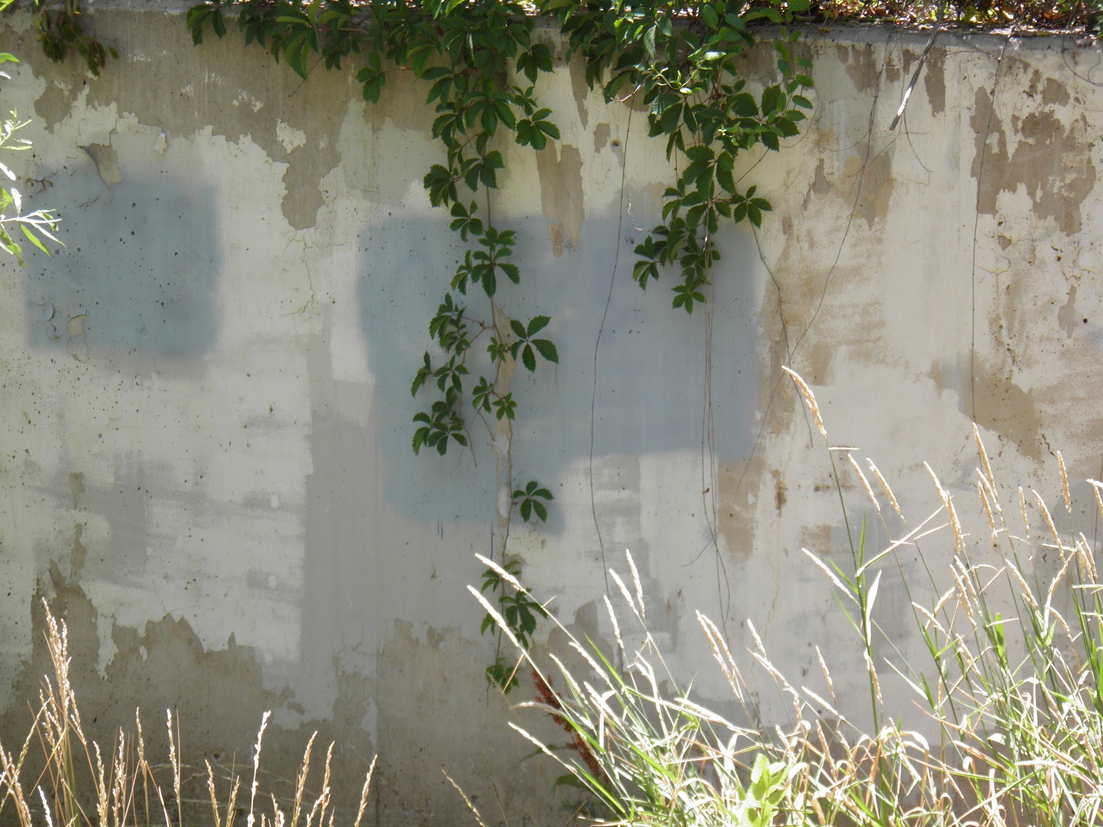 walking flagstaff a flagstaff july