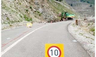 Προσωρινή διακοπή του επαρχιακού δρόμου Ράχη Τυμφρηστού - Άγ.Απόστολοι - Φουρνά - Ορ. Νομού Καρδίτσας στην θέση 