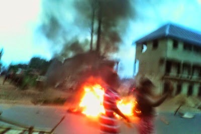 monarch flees oko kingdom