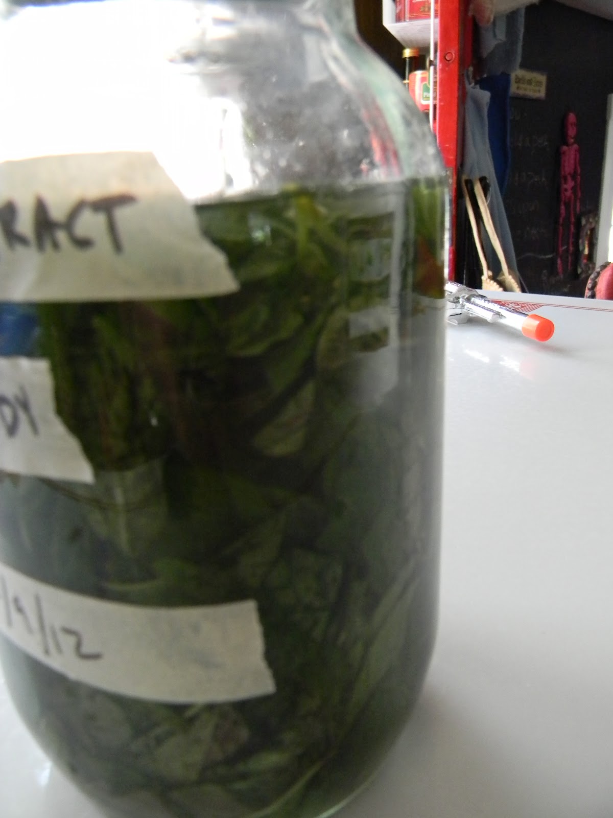 Dairy Godmother DIY Mint Extract