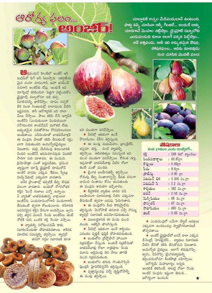 TELUGU WEB WORLD HEALTH BENEFITS WITH EATING ANZEERA FRUIT