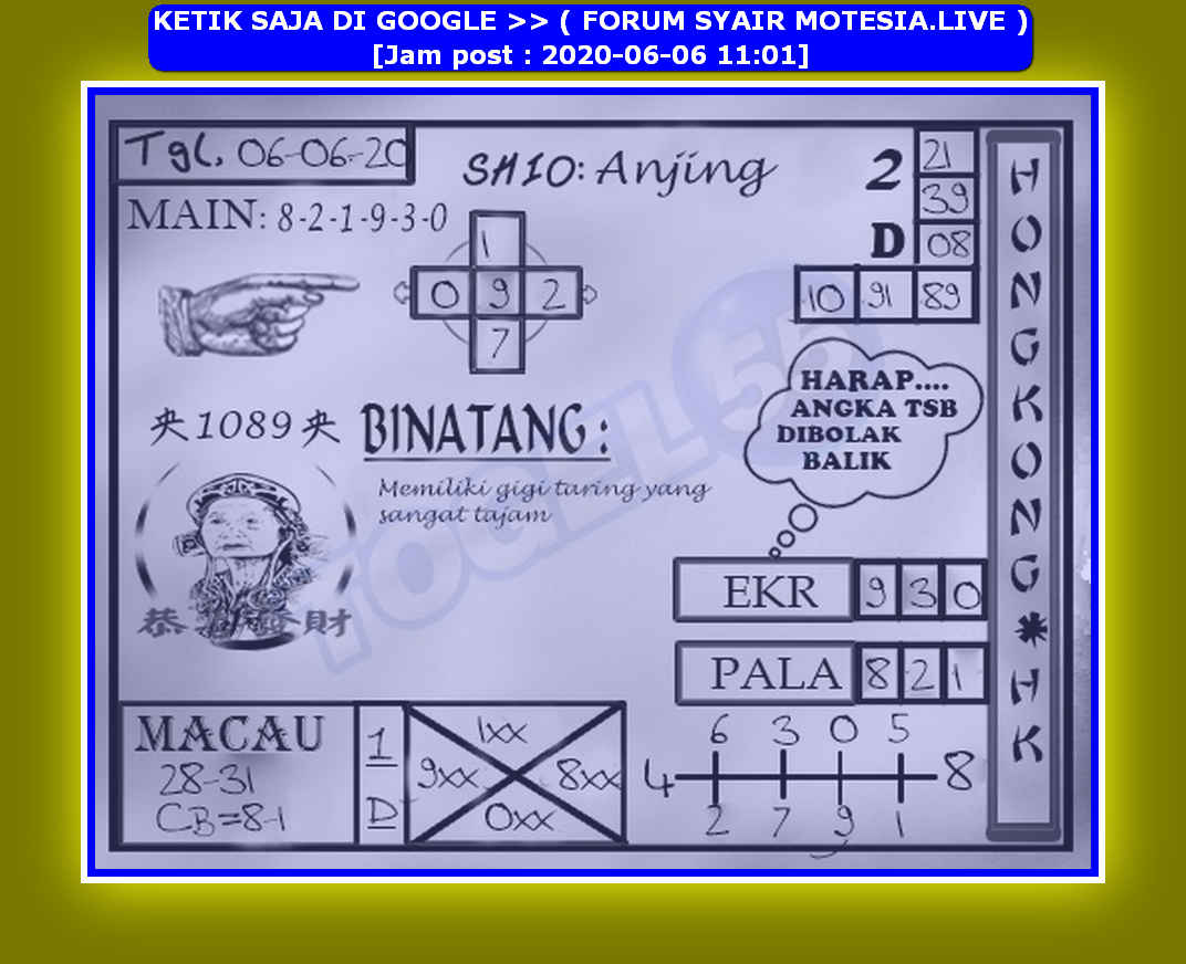 forum syair hk Meloditogel