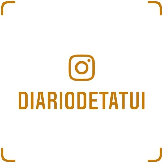 Siga o DT no instagram