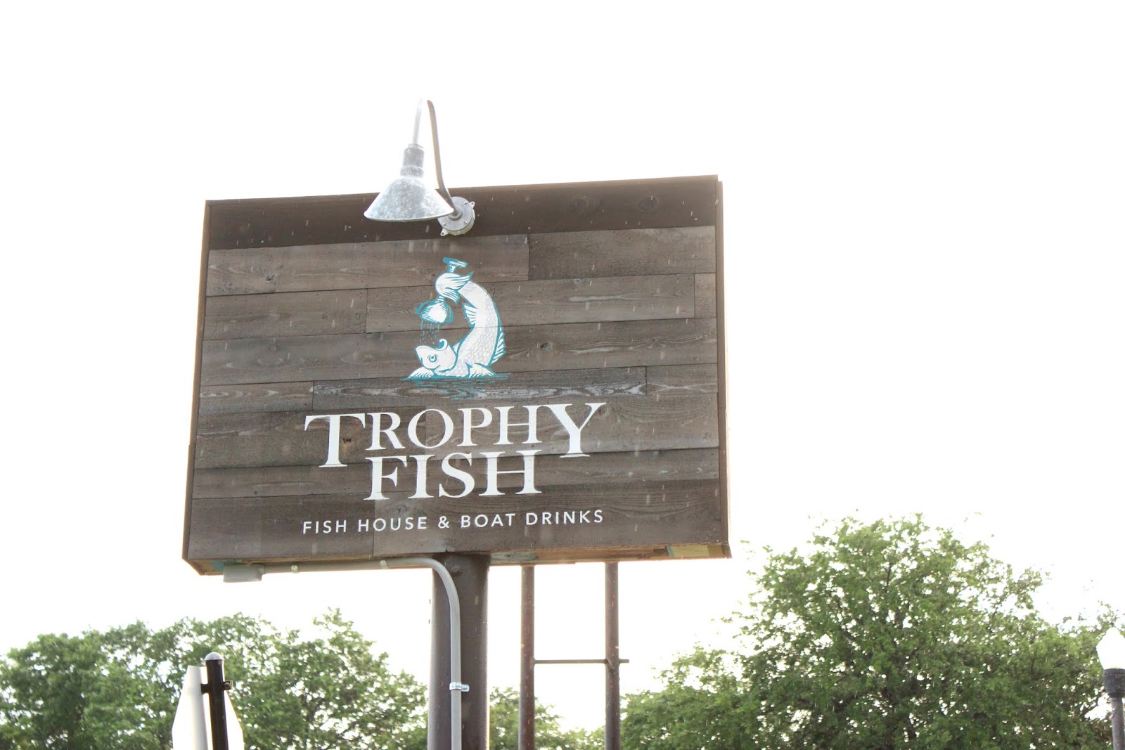 The Littlest Funk blog Hooked on Trophy Fish St. Pete's First Fresh