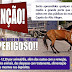 Prefeitura de Capela do Alto Alegre recolherá animais soltos em vias públicas e aplicará multa de R$ 12,59 por animal/dia aos donos