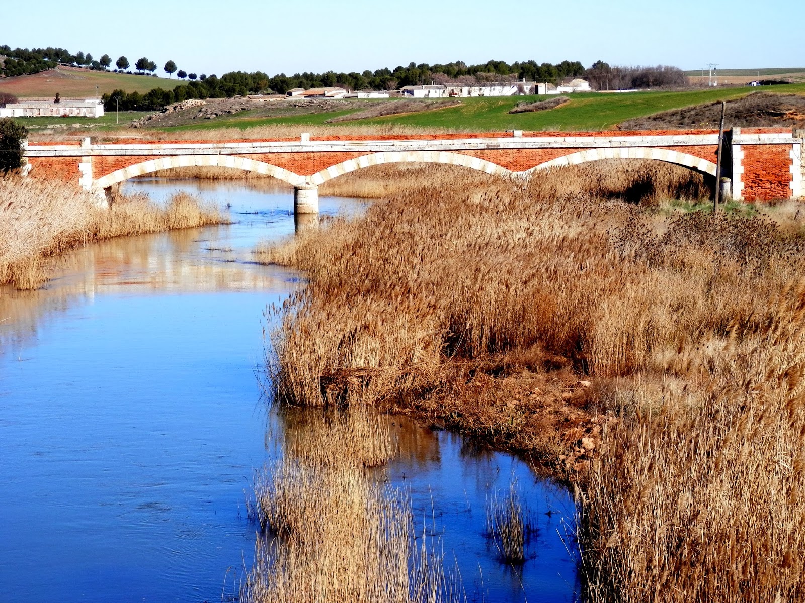 Foto de Ojos del Jabalón en Montiel, Ciudad Real
