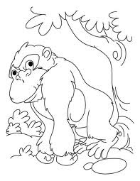 Free Animal Zoo " Gorilla " Coloring Pages to Print