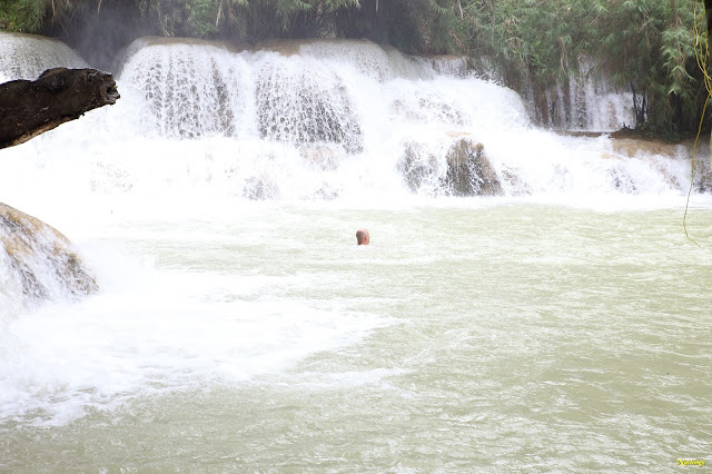 21-08-17. Excursión a las cascadas de Kuang Si. - No hay caos en Laos (7)