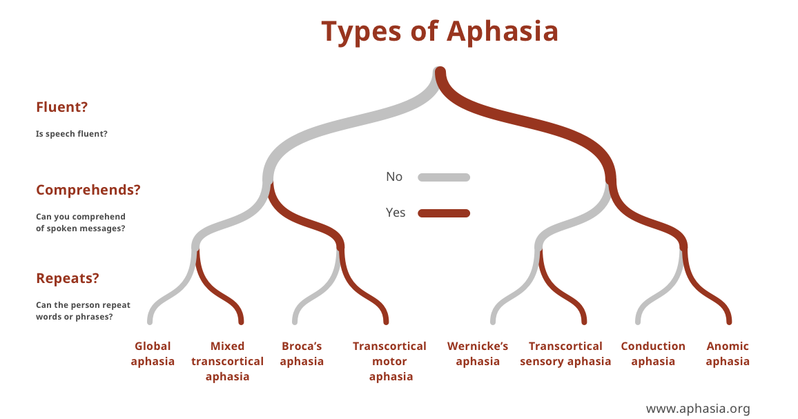 Stroke Wise Speech, communicating, & aphasia