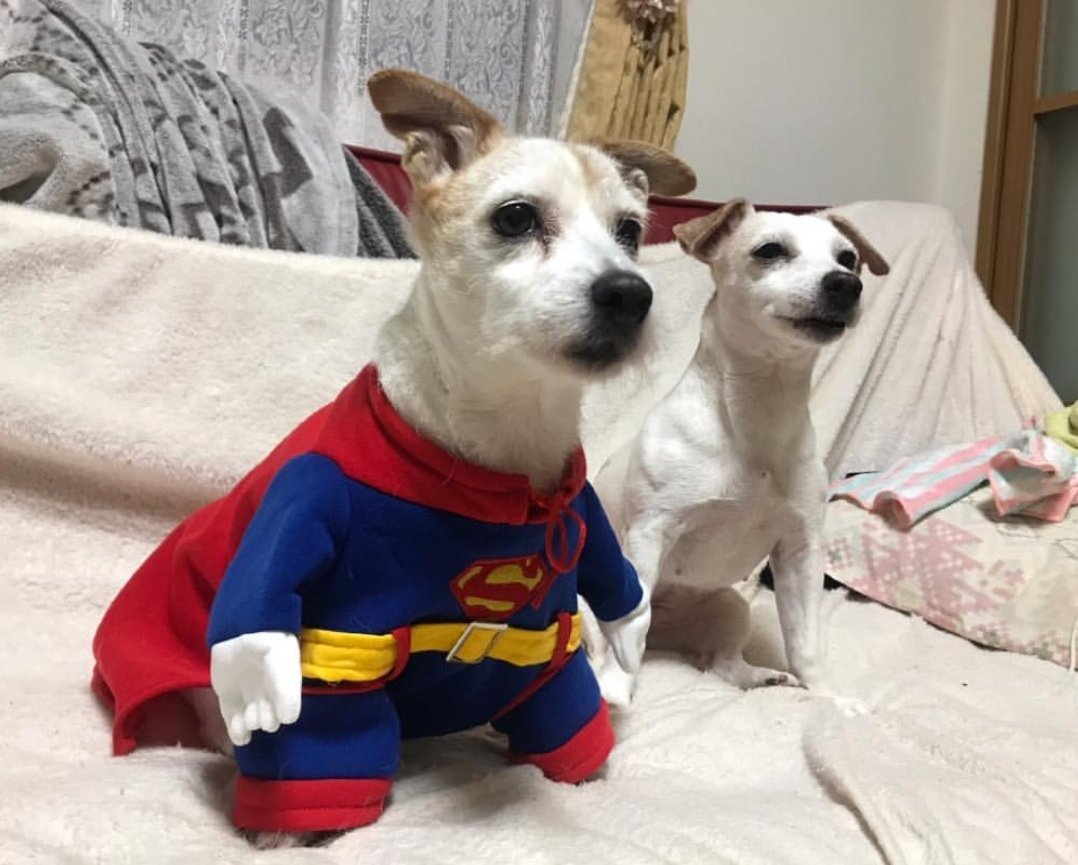 %25ED%258E%25AB%25EC%25BD%2594%25ED%2591