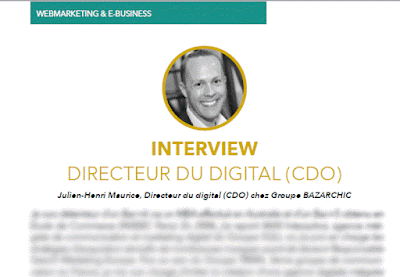 interview directeur du digital - guide metiers webmarketing 2016