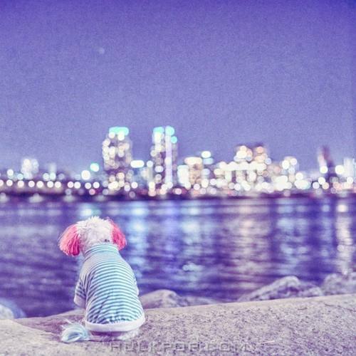 Deng, Candie – 가로등 – Single