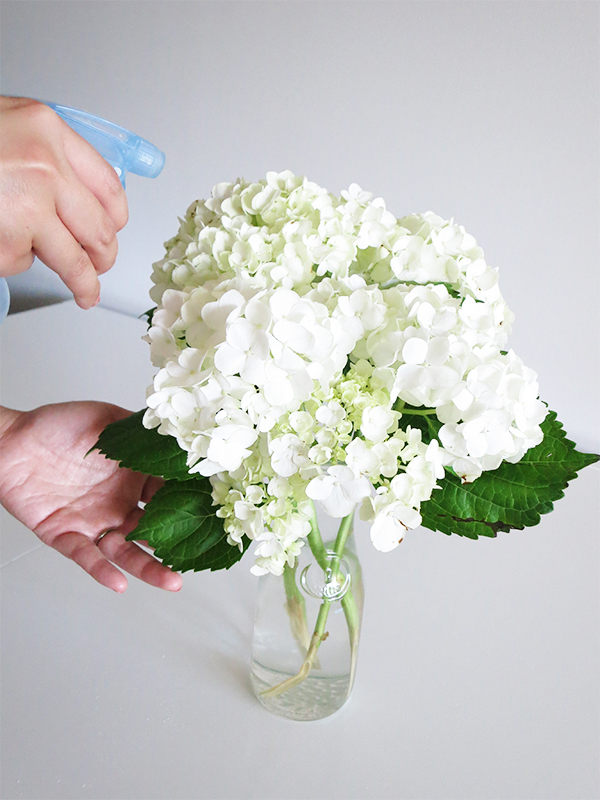 How To Make Hydrangeas Last Forever Solo Lisa